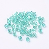 Eco-Friendly Transparent Acrylic Beads PL733-9-3