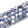 Natural Sodalite Beads Strands G-T106-211-1