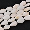 Natural White Shell Beads Strands PBB263Y-1-3