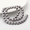 Round Shell Pearl Frosted Beads Strands BSHE-I002-8mm-223-2