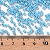 Opaque Glass Seed Beads SEED-S023-01A-03-3
