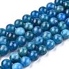 Natural Apatite Beads Strands G-O186-E02-8mm-4