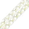 Transparent Electroplate Glass Beads Strands EGLA-I017-03-FR05-1