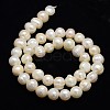 Natural Cultured Freshwater Pearl Beads Strands PEAR-L001-H-14-01-3