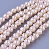 Natural Cultured Freshwater Pearl Beads Strands PEAR-E004-22-1