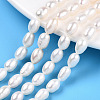 Natural Cultured Freshwater Pearl Beads Strands PEAR-N012-06L-1