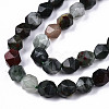 Natural African Bloodstone Beads Strands G-S368-008A-3