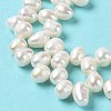 Natural Cultured Freshwater Pearl Beads Strands PEAR-J007-50-4