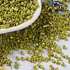 Baking Paint Glass Seed Beads SEED-S042-15A-07-1