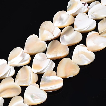 Natural Trochid Shell/Trochus Shell Bead Strands SSHEL-N034-92A-01-1