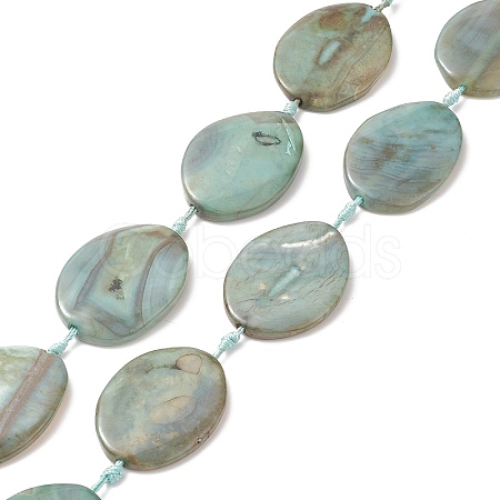 Natural Agate Beads Strands TDZI-G012-03-1
