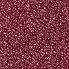 TOHO Round Seed Beads X-SEED-TR15-0109B-2