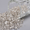 6/0 Glass Seed Beads X1-SEED-A005-4mm-21-1