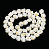 Handmade Milleflori Glass Beads Strands LAMP-M018-01A-09-2