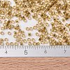 MIYUKI Delica Beads SEED-JP0008-DB2525-4