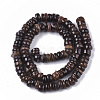 Freshwater Shell Beads Strands SHEL-T013-004A-2