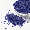 12/0 Grade A Transparent Silver Lined Round Glass Seed Beads X-SEED-A022-F12-74-1