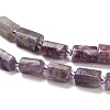 Natural Lepidolite/Purple Mica Stone Beads Strands G-K245-I16-01-4