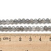 Faceted Round Natural Labradorite Bead Strands G-I156-03-4mm-6