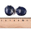 Natural Sodalite Footprint Figurines DJEW-N003-02C-2