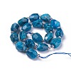 Natural Apatite Beads Strands G-G772-08-A-2