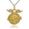 Golden Tone Brass Hollow Round Cage Pendants KK-J230-04G-3