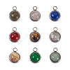 Fashewelry 9Pcs 9 Styles Natural Mixed Stone Charms G-FW0001-28-12