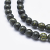 Natural Serpentine/Green Lace Stone Beads Strands G-P345-01-12mm-3