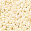 Baking Paint Glass Seed Beads SEED-B001-02A-06-3