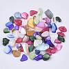 Natural Freshwater Shell Beads X-SHEL-N003-03-2
