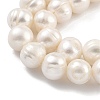 Natural Cultured Freshwater Pearl Beads Strands PEAR-C003-14F-4