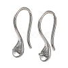 304 Stainless Steel Earring Hooks STAS-M323-06P-1