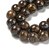 Natural Boulder Opal Beads Strands G-P544-A01-02-4