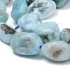 Natural Larimar Beads Strands G-L493-37-2
