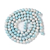 Baking Paint Glass Bead Strands GLAA-H031-01B-10-3