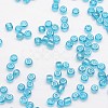 8/0 Glass Seed Beads X-SEED-J012-F8-119-3