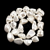 Shell Pearl Beads Strands BSHE-C008-01-5