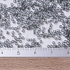 MIYUKI Delica Beads Small SEED-X0054-DBS0179-4