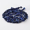 Nuggets Dyed Natural Lapis Lazuli Bead Strands G-M344-21-2