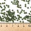 TOHO Round Seed Beads SEED-JPTR08-0324-4