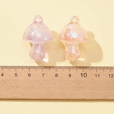 Transparent Acrylic Pendants MACR-FS0001-54-1