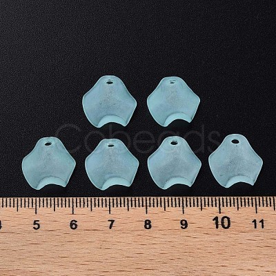 Transparent Acrylic Beads MACR-S373-106-D04-1