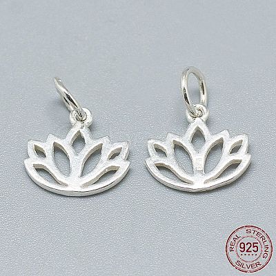 925 Sterling Silver Charms STER-T002-277S-1