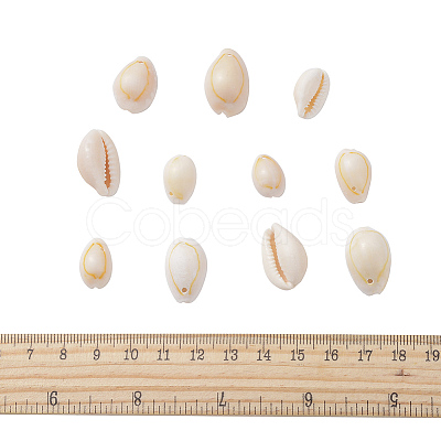 Natural Cowrie Shell Beads BSHE-CJ0002-01-1