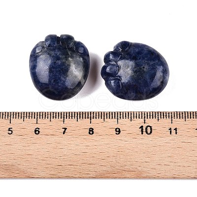 Natural Sodalite Footprint Figurines DJEW-N003-02C-1