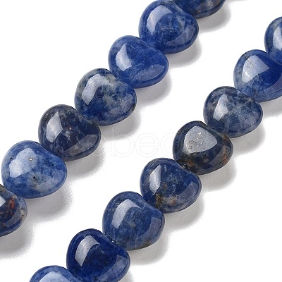 Natural Sodalite Beads Strands G-R190-10mm-37-1