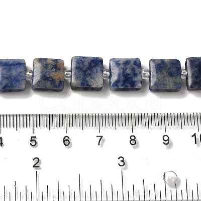 Natural Blue Spot Jasper Beads Strands G-L596-A07-01-1