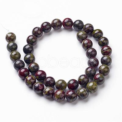 Natural Dragon Blood Jasper Bead Strands G-G957-24-10mm-1