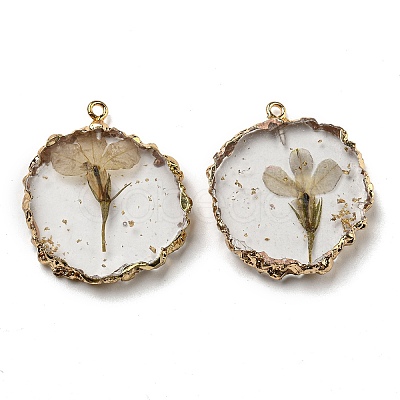 Gold Foil Inner Dried Flower Resin Pendants RESI-P028-01KCG-02-1