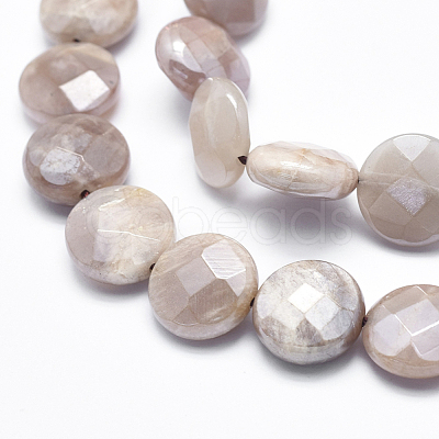 Electroplate Natural Sunstone Beads Strands G-K256-20B-1